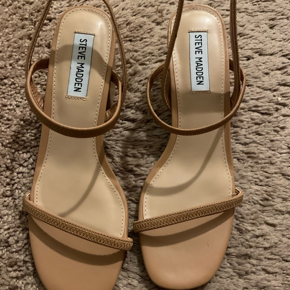 Brand new Steve madden